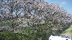 ochiai4-20250422122105.jpg