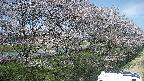 ochiai4-20250422123103.jpg