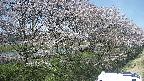 ochiai4-20250422124112.jpg