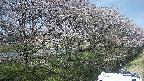 ochiai4-20250422125107.jpg