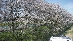 ochiai4-20250422130121.jpg