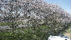 ochiai4-20250422132101.jpg
