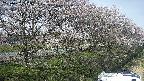 ochiai4-20250422134059.jpg