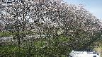 ochiai4-20250422135100.jpg