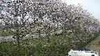 ochiai4-20250422142102.jpg