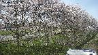 ochiai4-20250422144101.jpg