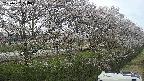 ochiai4-20250422160059.jpg