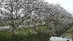 ochiai4-20250422171059.jpg