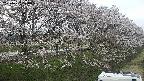 ochiai4-20250422173102.jpg