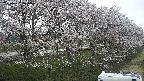 ochiai4-20250422175059.jpg