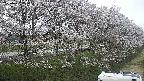 ochiai4-20250422180103.jpg