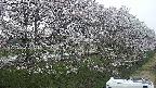 ochiai4-20250422182058.jpg