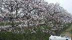 ochiai4-20250422183100.jpg