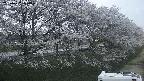ochiai4-20250422184056.jpg