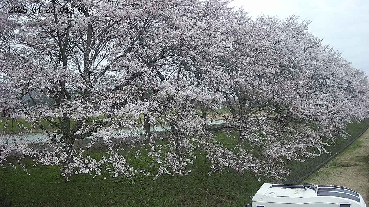 ochiai4-20250423045057.jpg