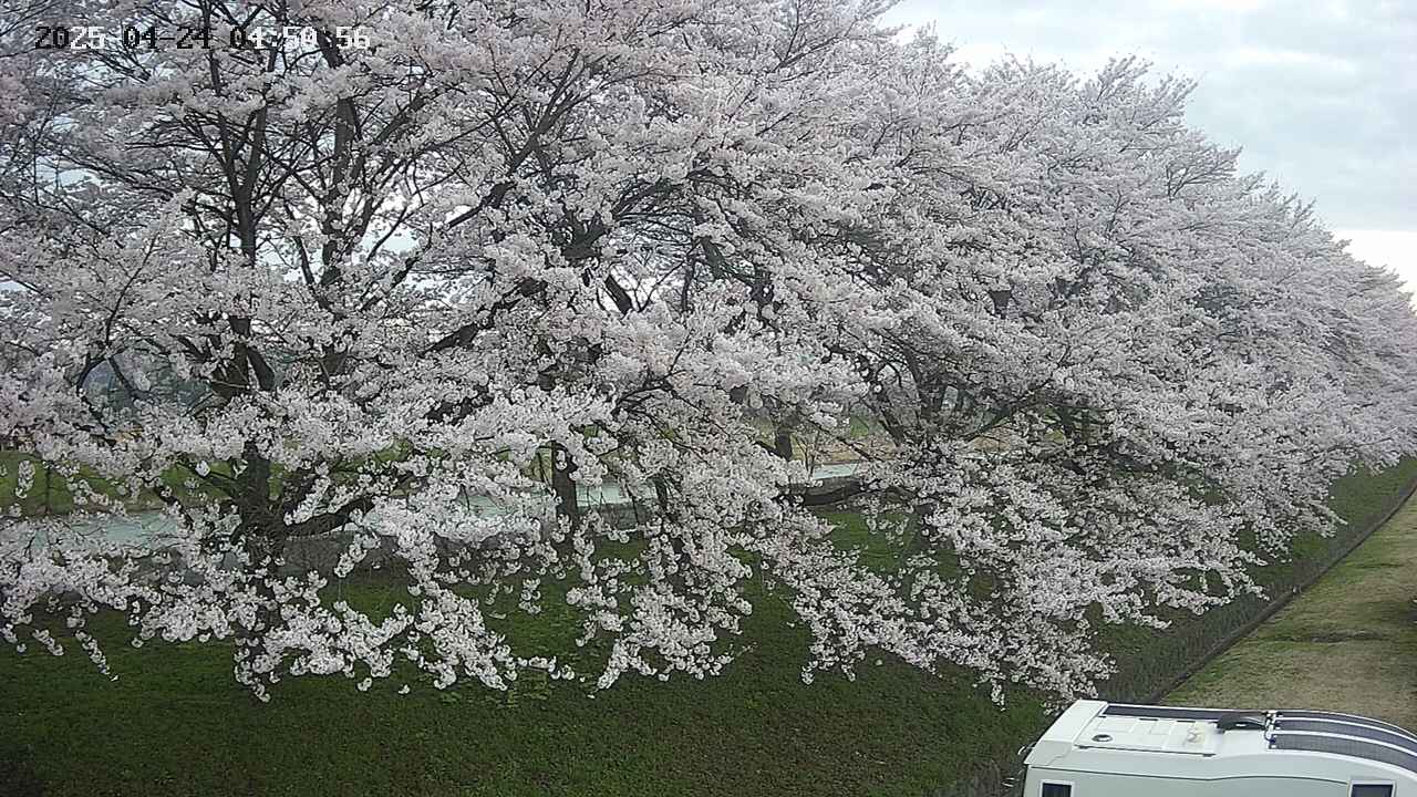 ochiai4-20250424045058.jpg