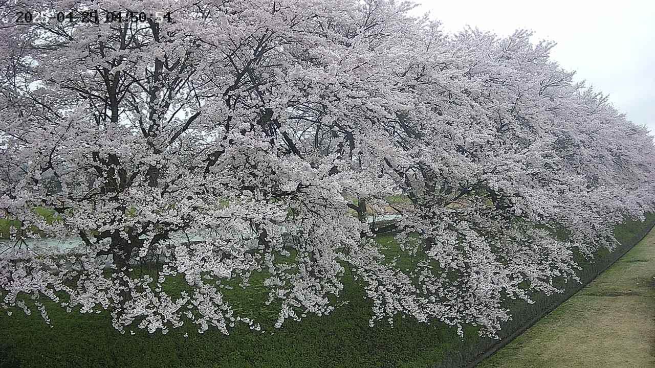 ochiai4-20250425045056.jpg