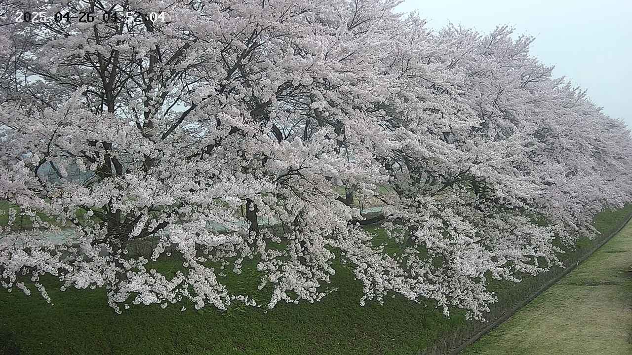 ochiai4-20250426045229.jpg
