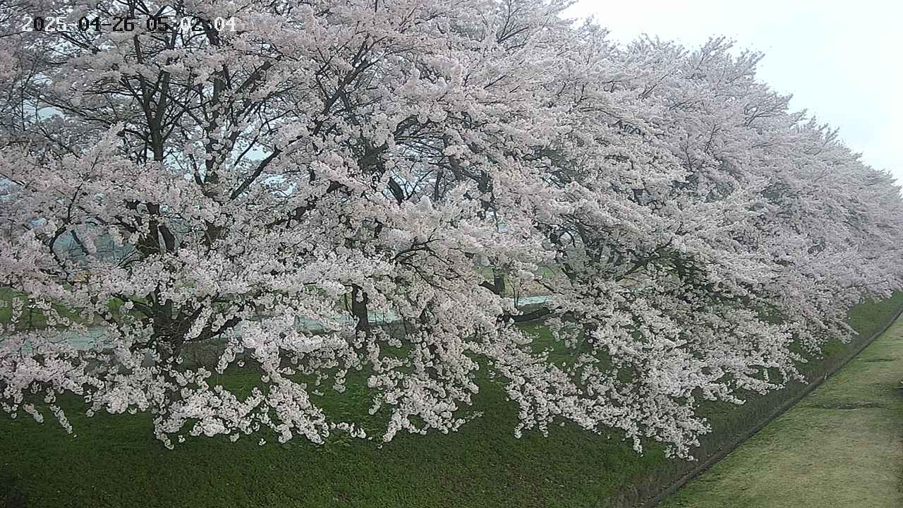 ochiai4-20250426050228.jpg