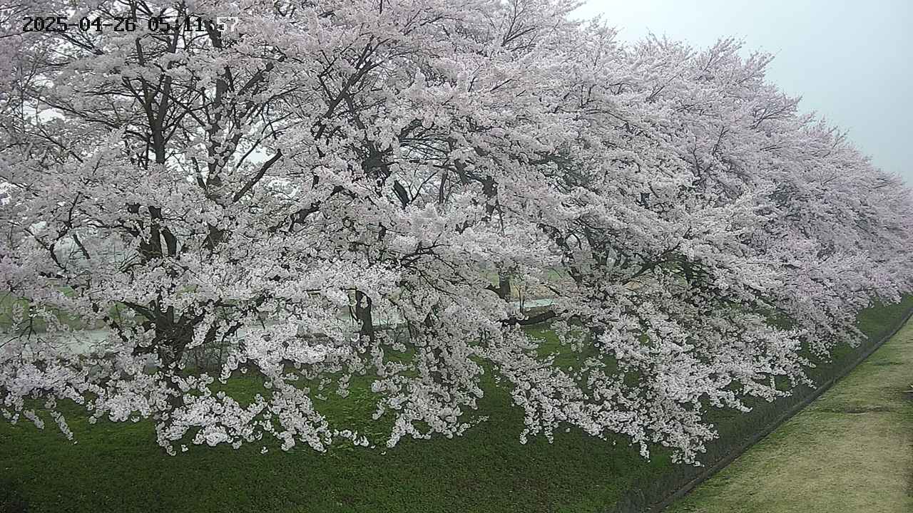 ochiai4-20250426051220.jpg