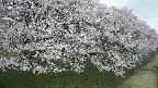 ochiai4-20250426143224.jpg