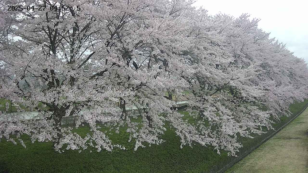 ochiai4-20250427045228.jpg