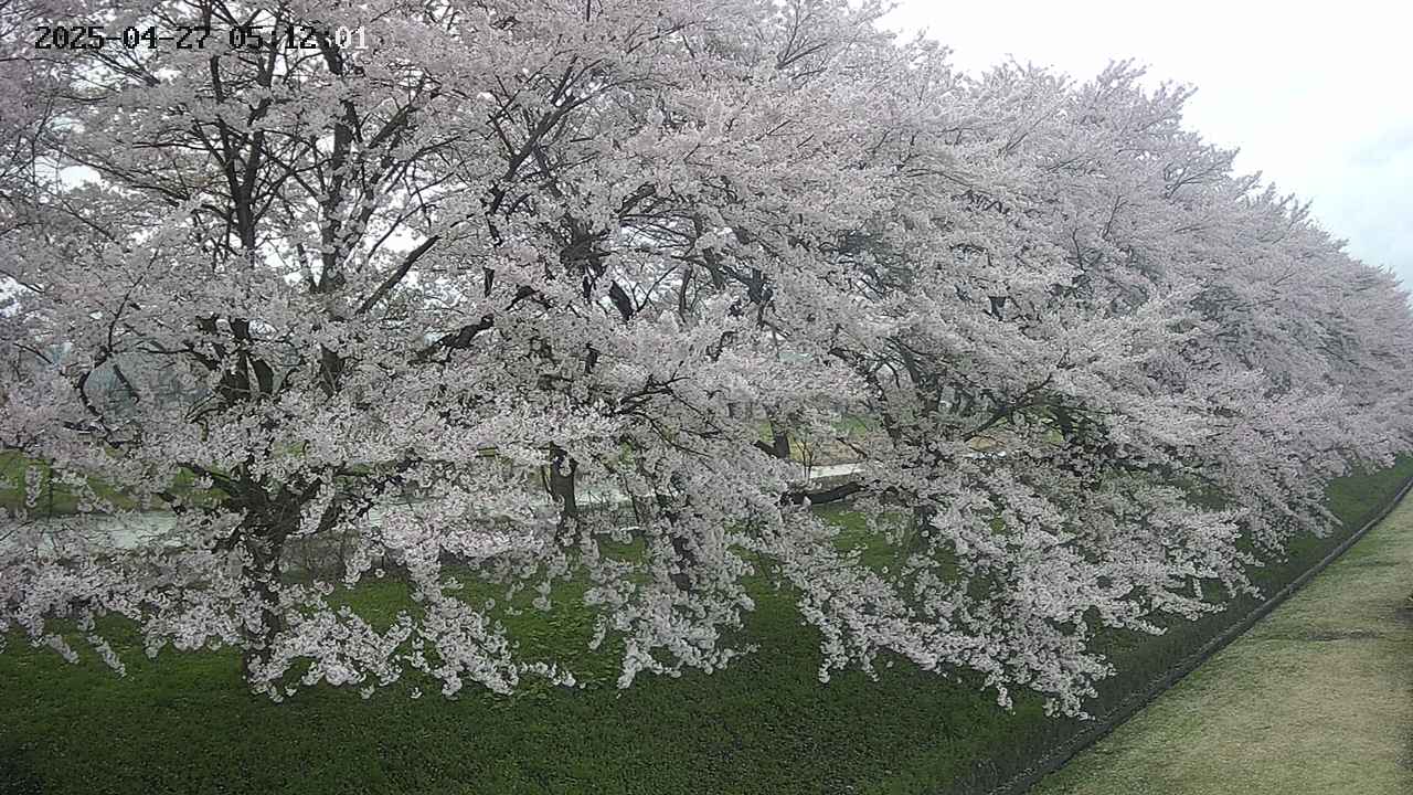 ochiai4-20250427051222.jpg
