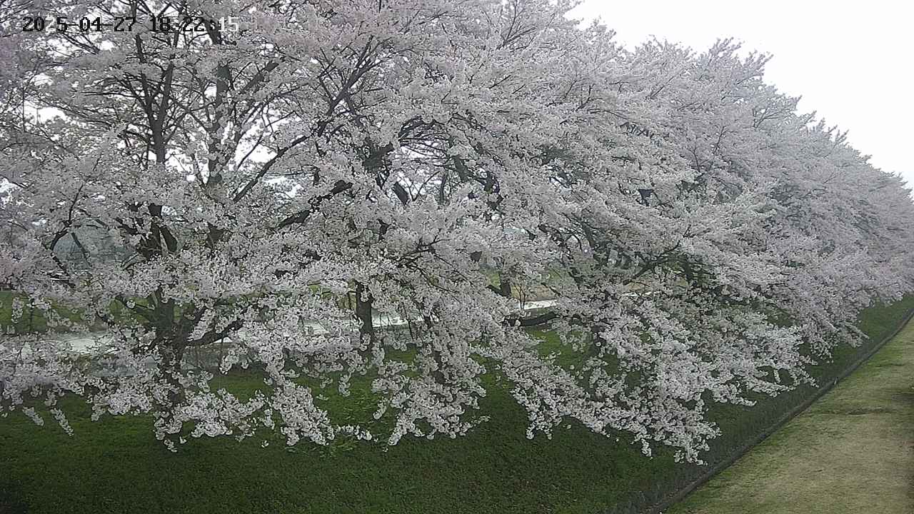 ochiai4-20250427182237.jpg