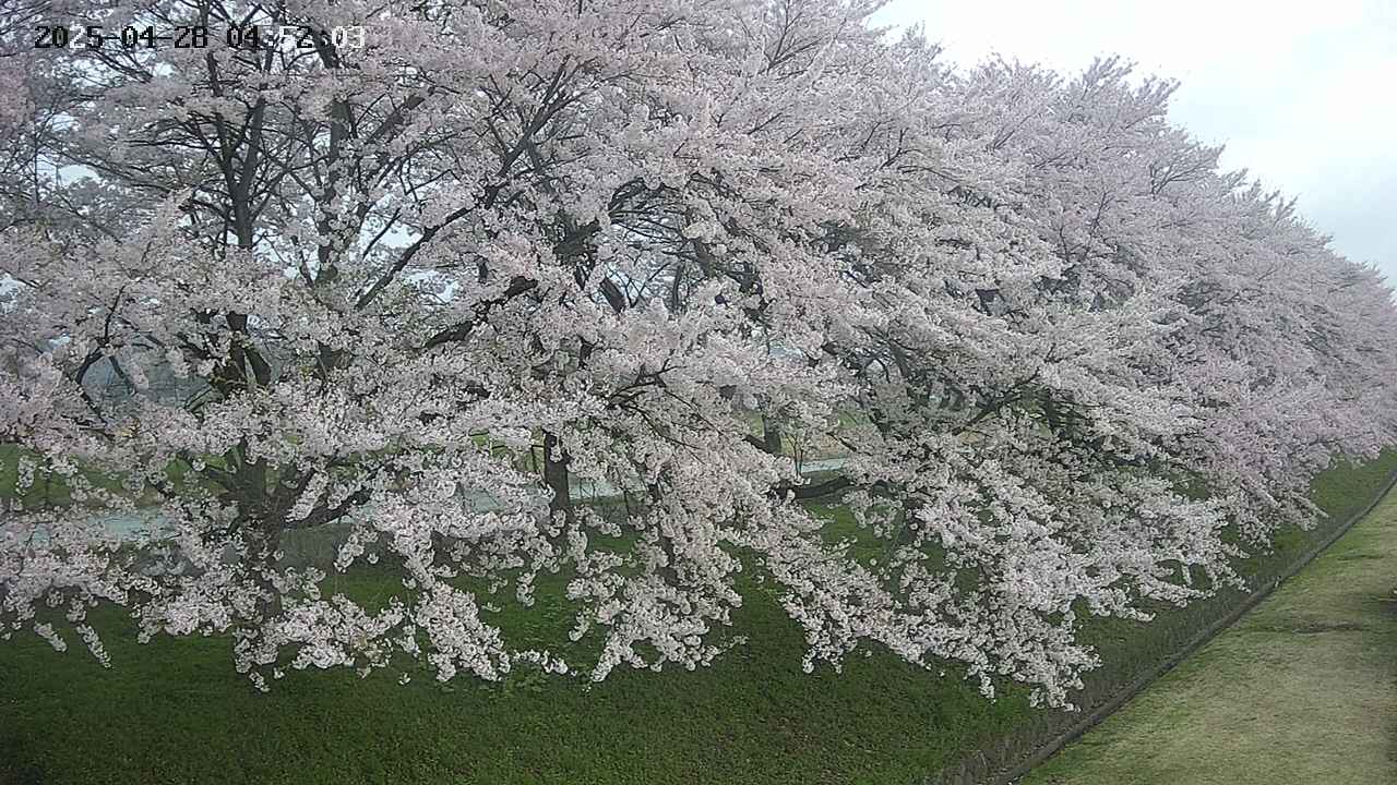ochiai4-20250428045229.jpg