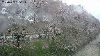 ochiai4-20250429085217.jpg
