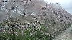 ochiai4-20250429090220.jpg