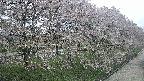 ochiai4-20250429110239.jpg