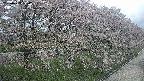 ochiai4-20250429120227.jpg