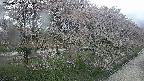 ochiai4-20250429125220.jpg