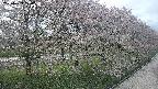 ochiai4-20250429174226.jpg