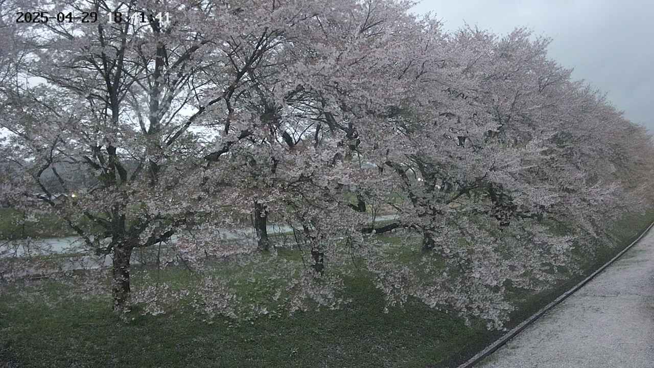 ochiai4-20250429184159.jpg