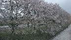ochiai4-20250429184159.jpg