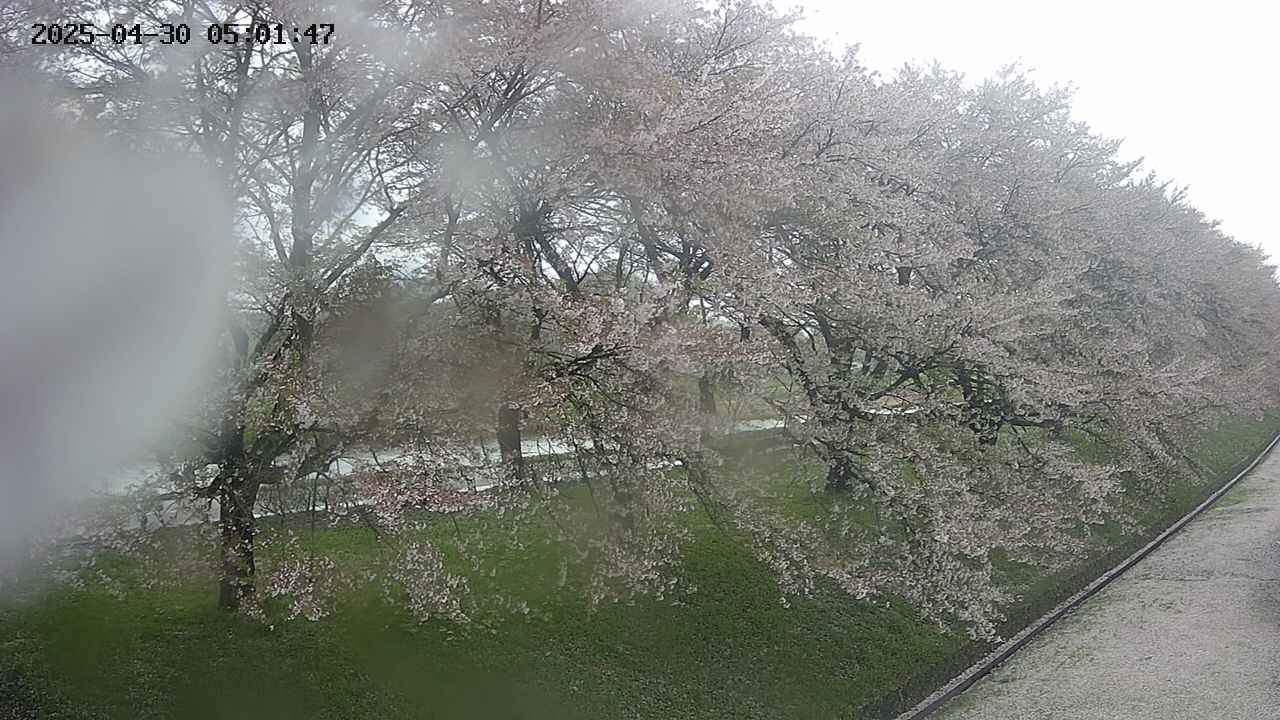 ochiai4-20250430050206.jpg
