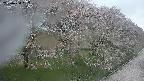 ochiai4-20250430052159.jpg
