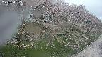 ochiai4-20250430053153.jpg