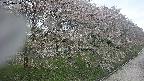 ochiai4-20250430090206.jpg