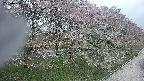 ochiai4-20250430093208.jpg