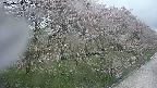 ochiai4-20250430100158.jpg