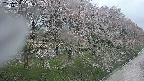 ochiai4-20250430101216.jpg