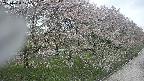 ochiai4-20250430105211.jpg