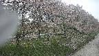 ochiai4-20250430110215.jpg