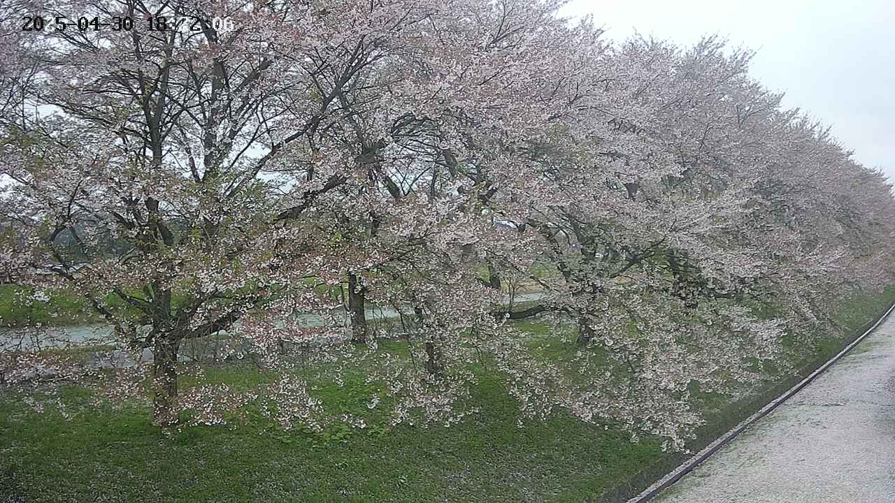 ochiai4-20250430182230.jpg