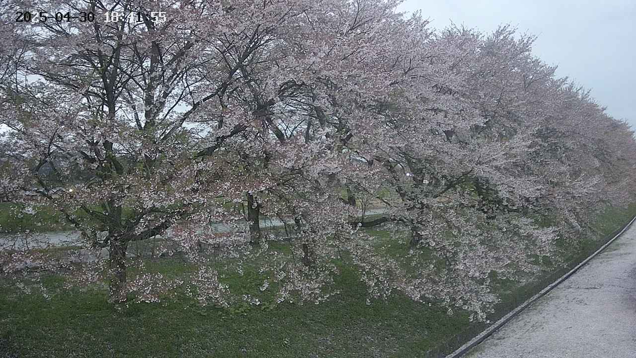 ochiai4-20250430184218.jpg
