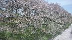 ochiai4-20250501104056.jpg