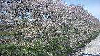 ochiai4-20250501120101.jpg